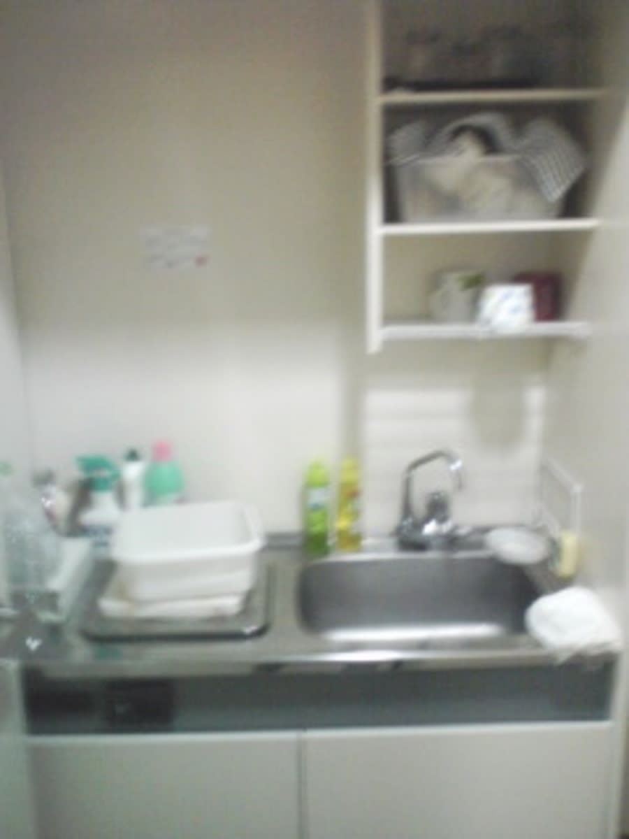 v20250427023809/fresh/building/J00100384096_8