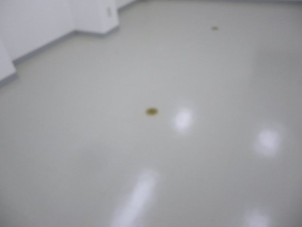 v20250502150712/fresh/building/J00100391897_11