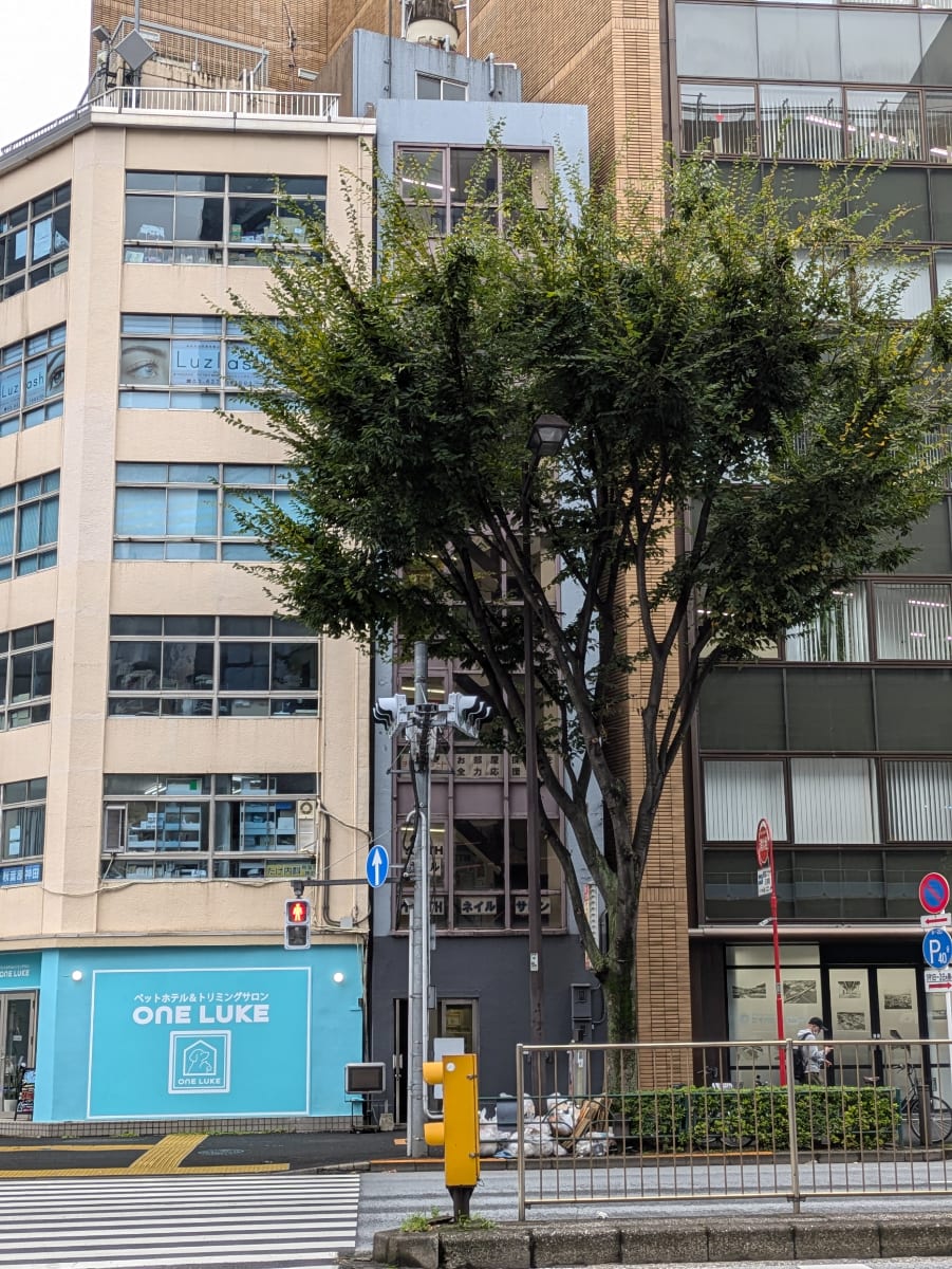 v20250530150901/fresh/building/J00100414833_5