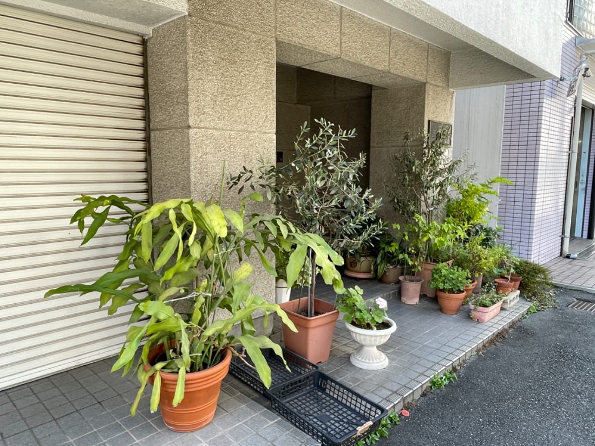 v20250603150701/fresh/building/J00100407524_10