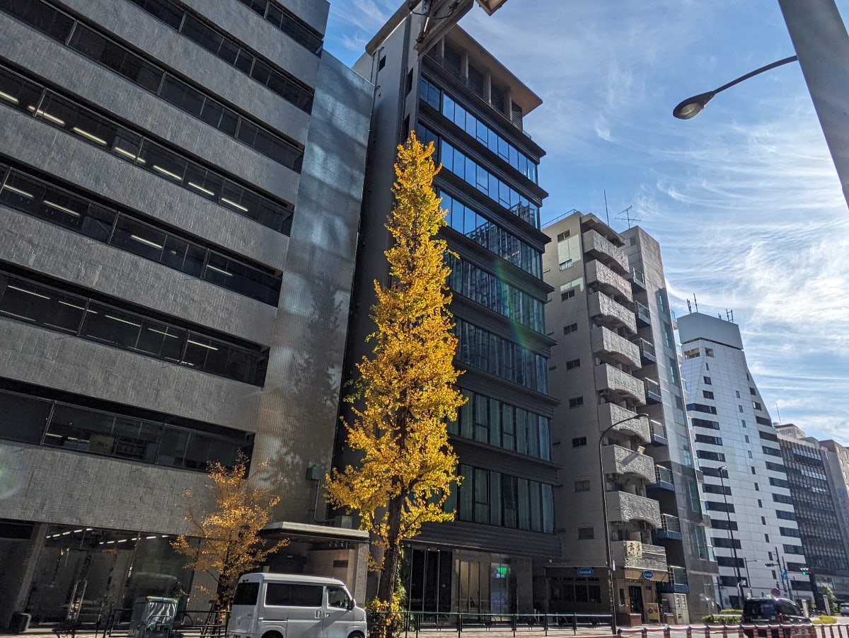 v20250603150701/fresh/building/J00100483281_5
