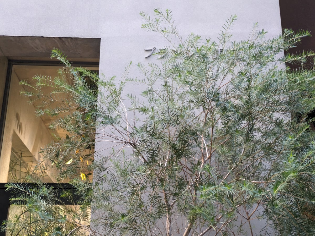 v20250619150700/fresh/building/J00100504523_9