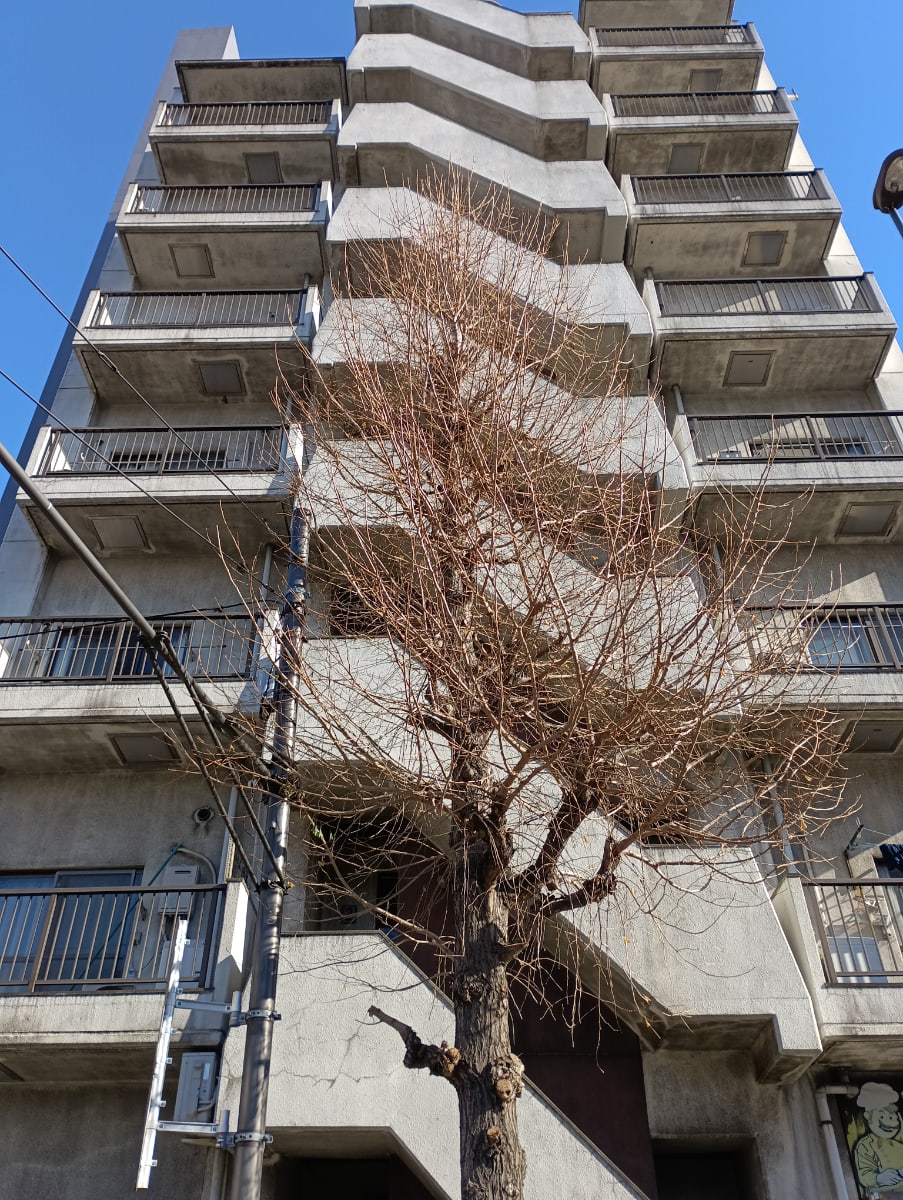 v20250625150905/fresh/building/J00100369527_11