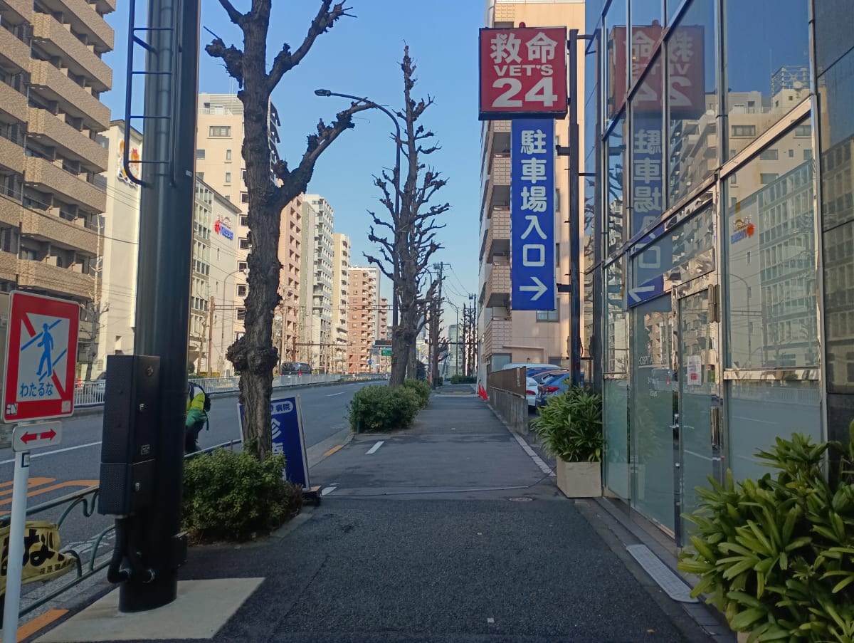 v20250625150905/fresh/building/J00100370972_2