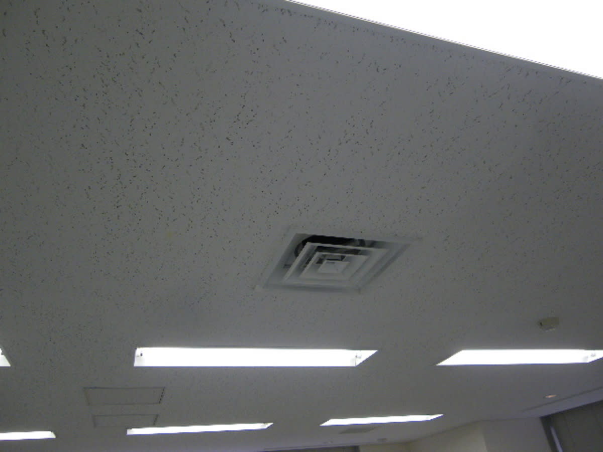 v20250714150702/fresh/building/J00100375745_12
