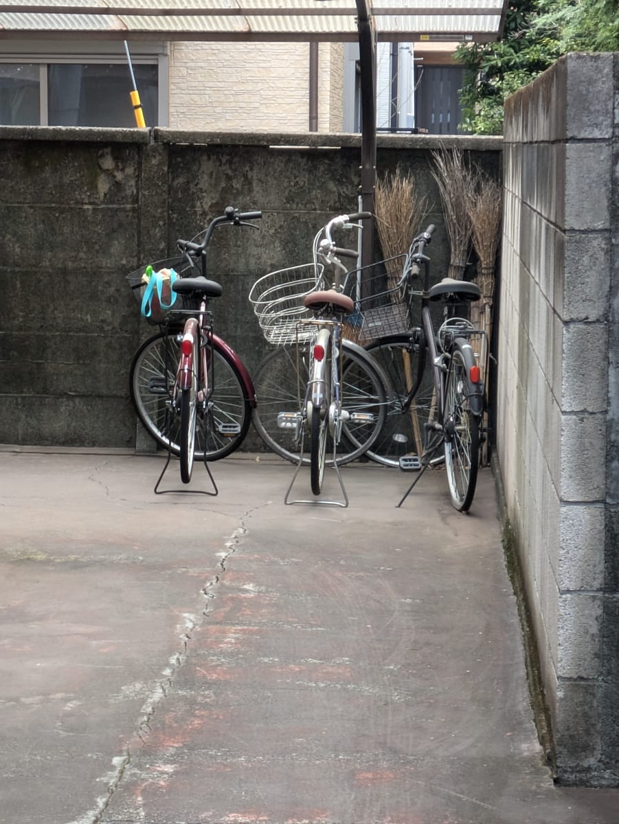 v20250729072148/fresh/building/J00100415955_10