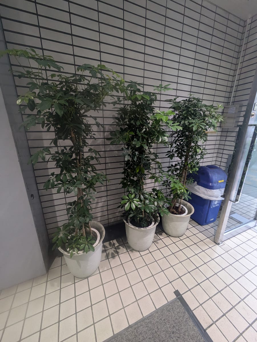 v20250905150805/fresh/building/J00100411495_15