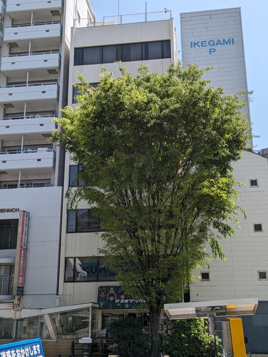v20250912150807/fresh/building/J00100381535_13