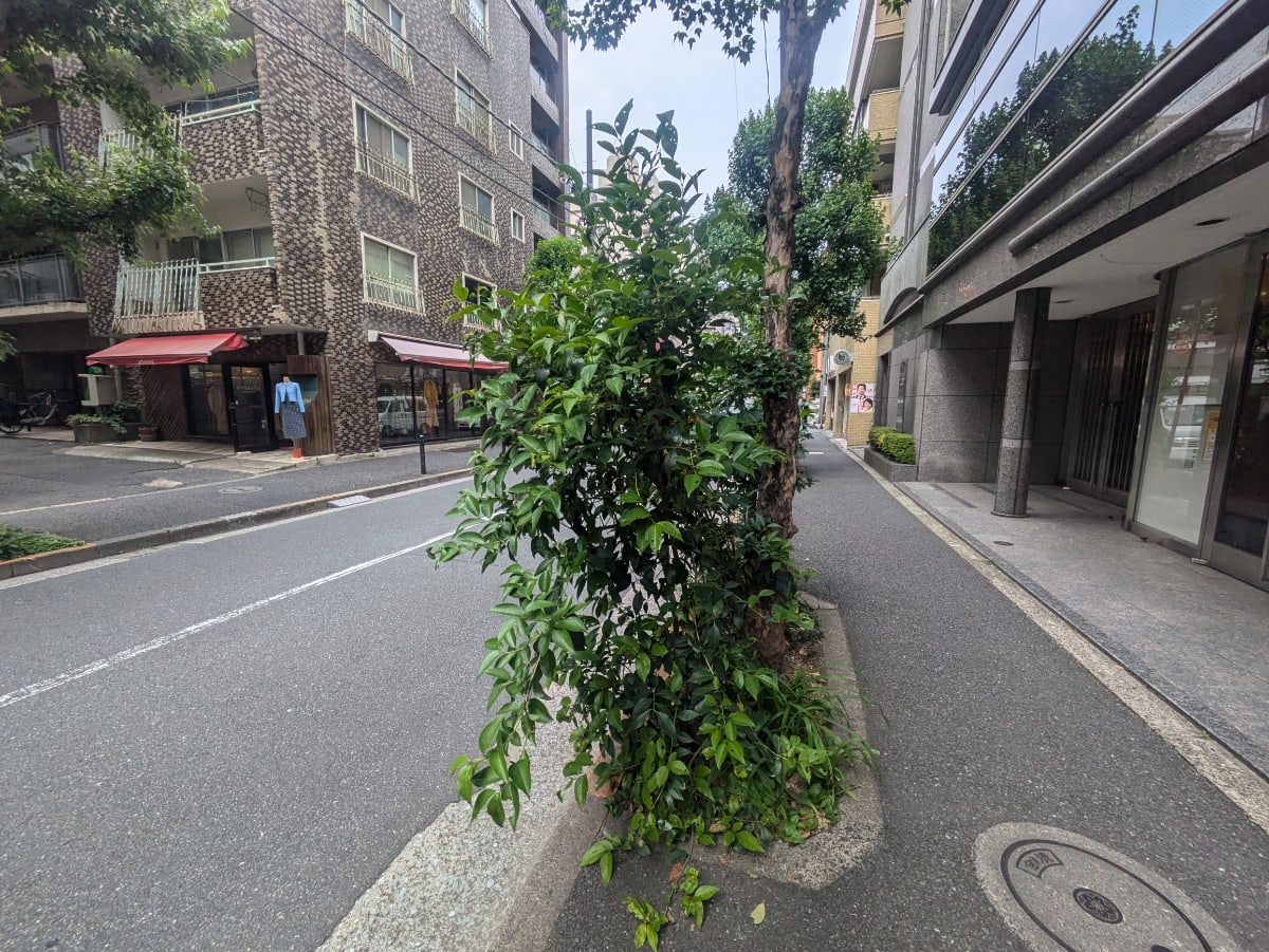 v20250917150804/fresh/building/J00100383757_2