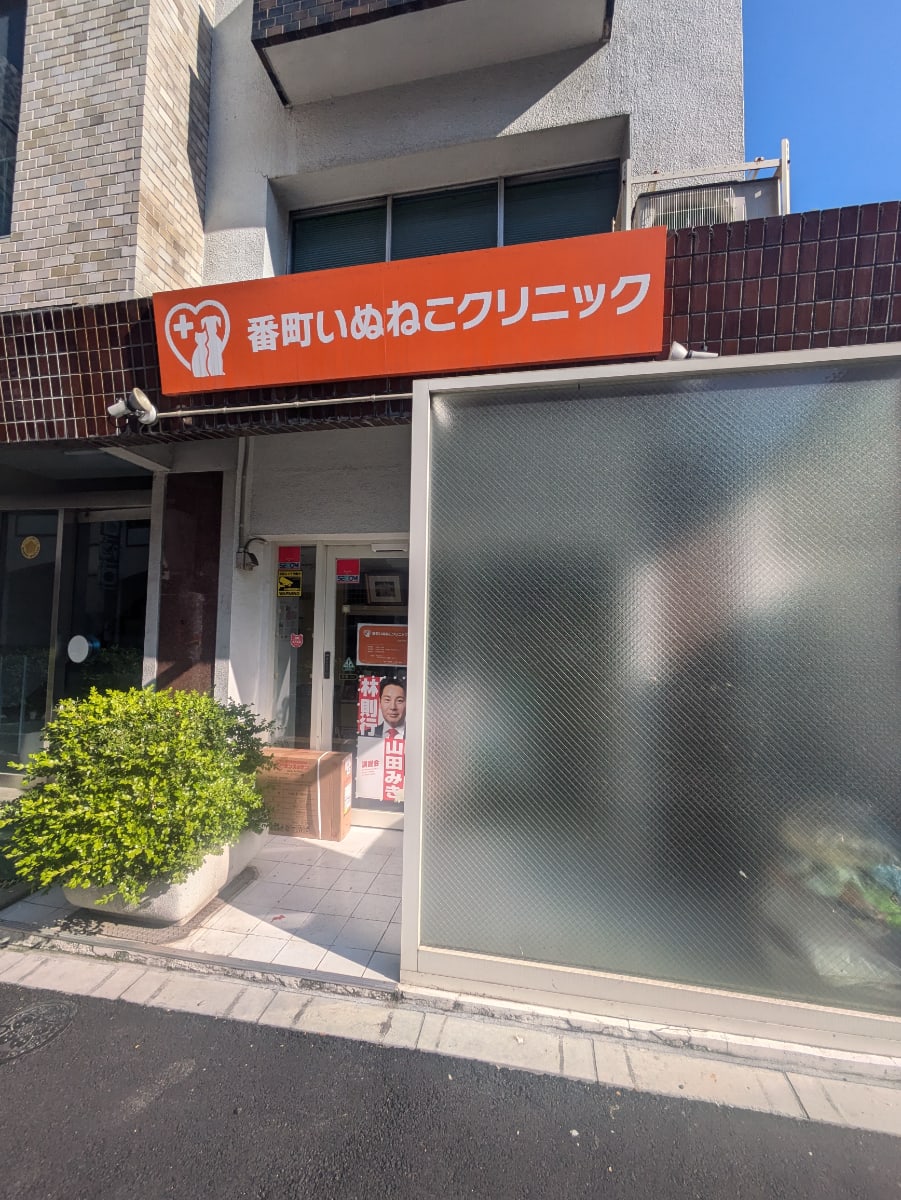 v20250917150804/fresh/building/J00100508203_7