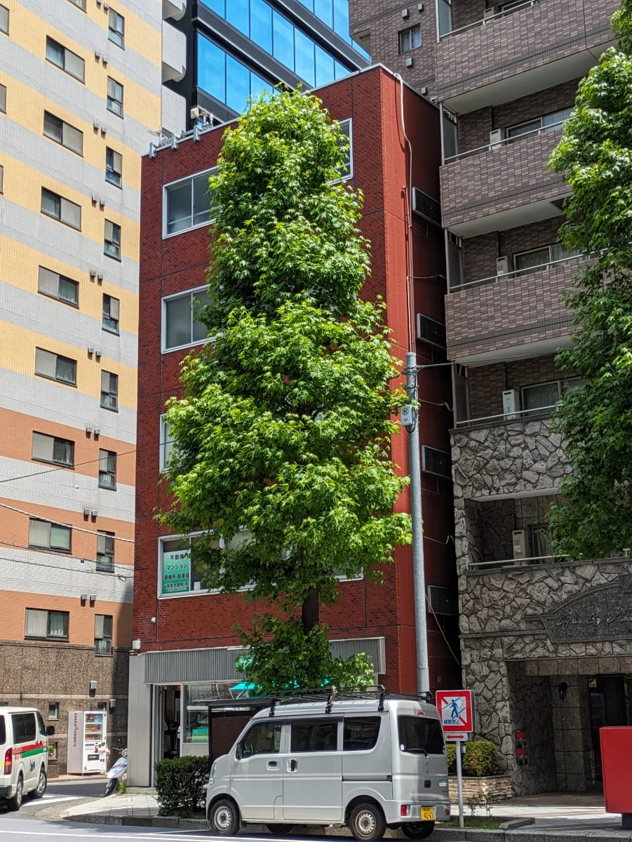 v20250918150711/fresh/building/J00100380248_5