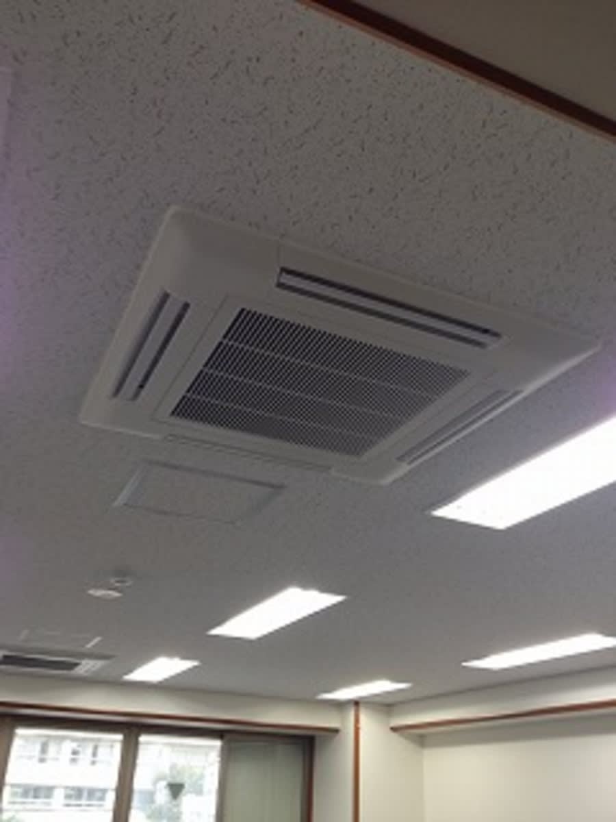 v20250919150704/fresh/building/J00100389809_6