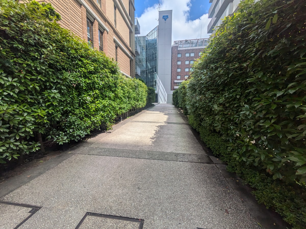 v20250920150703/fresh/building/J00100384113_9