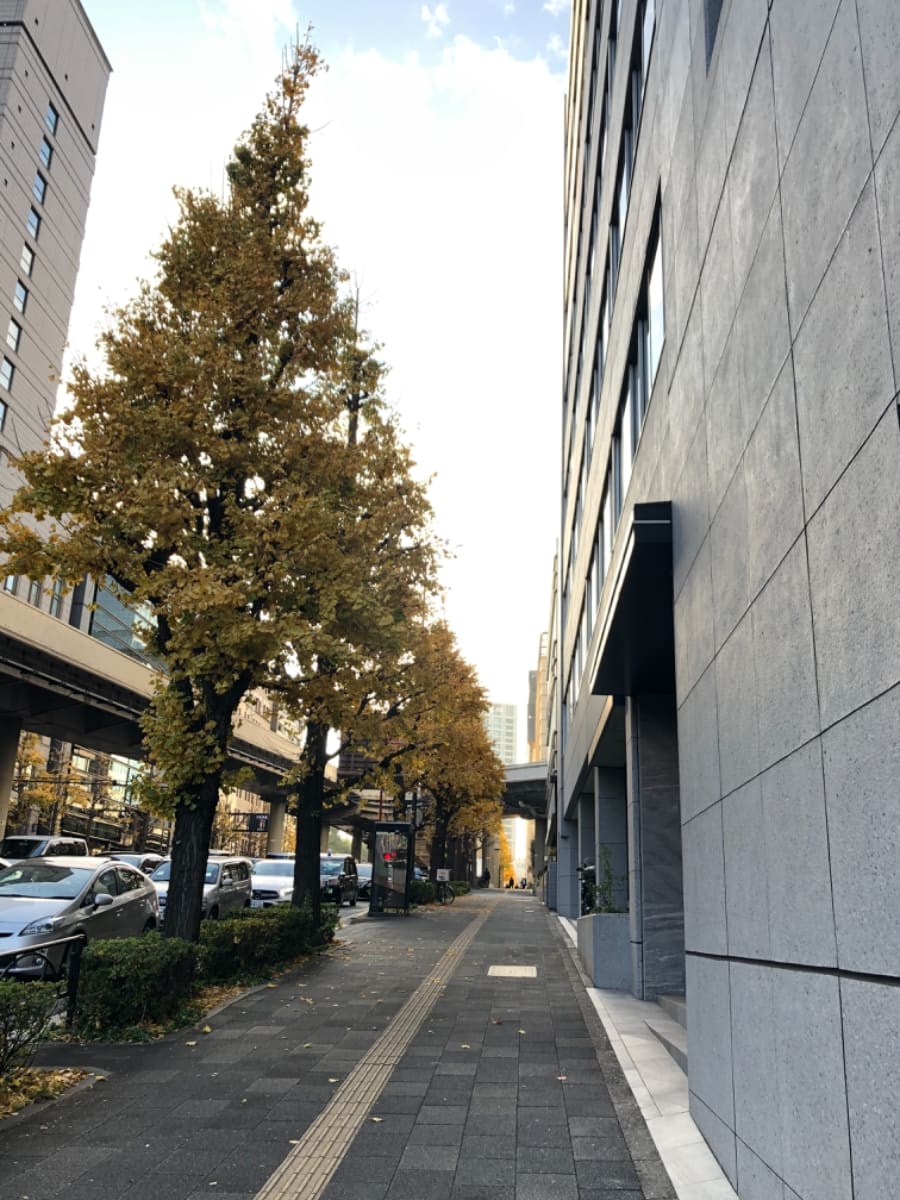v20250927150705/fresh/building/J00100384410_8