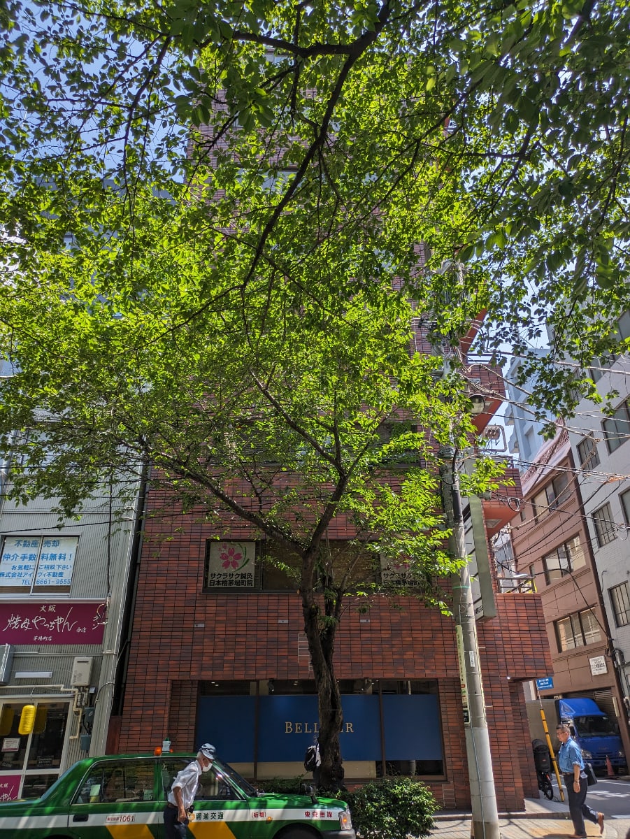 v20250927150706/fresh/building/J00100374756_8