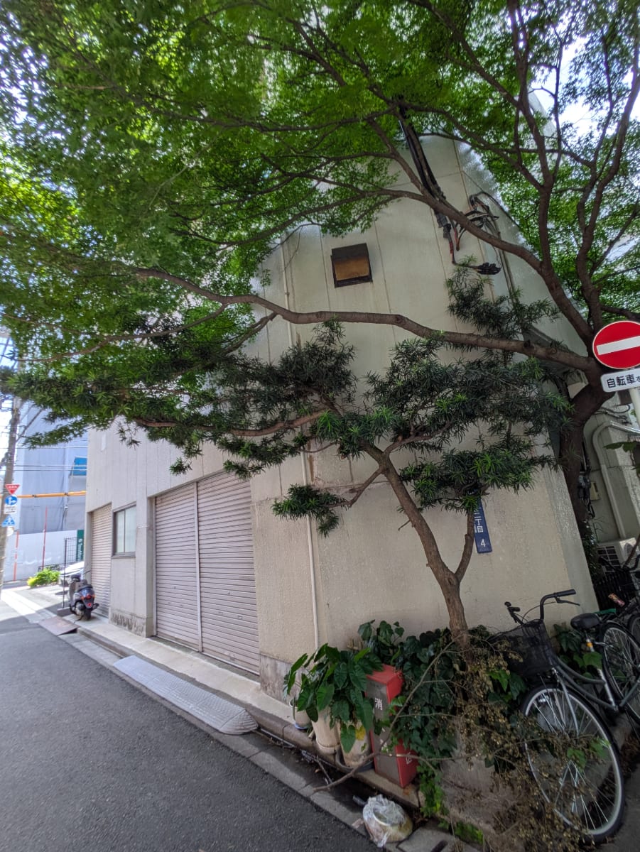 v20250930150908/fresh/building/J00100373370_11