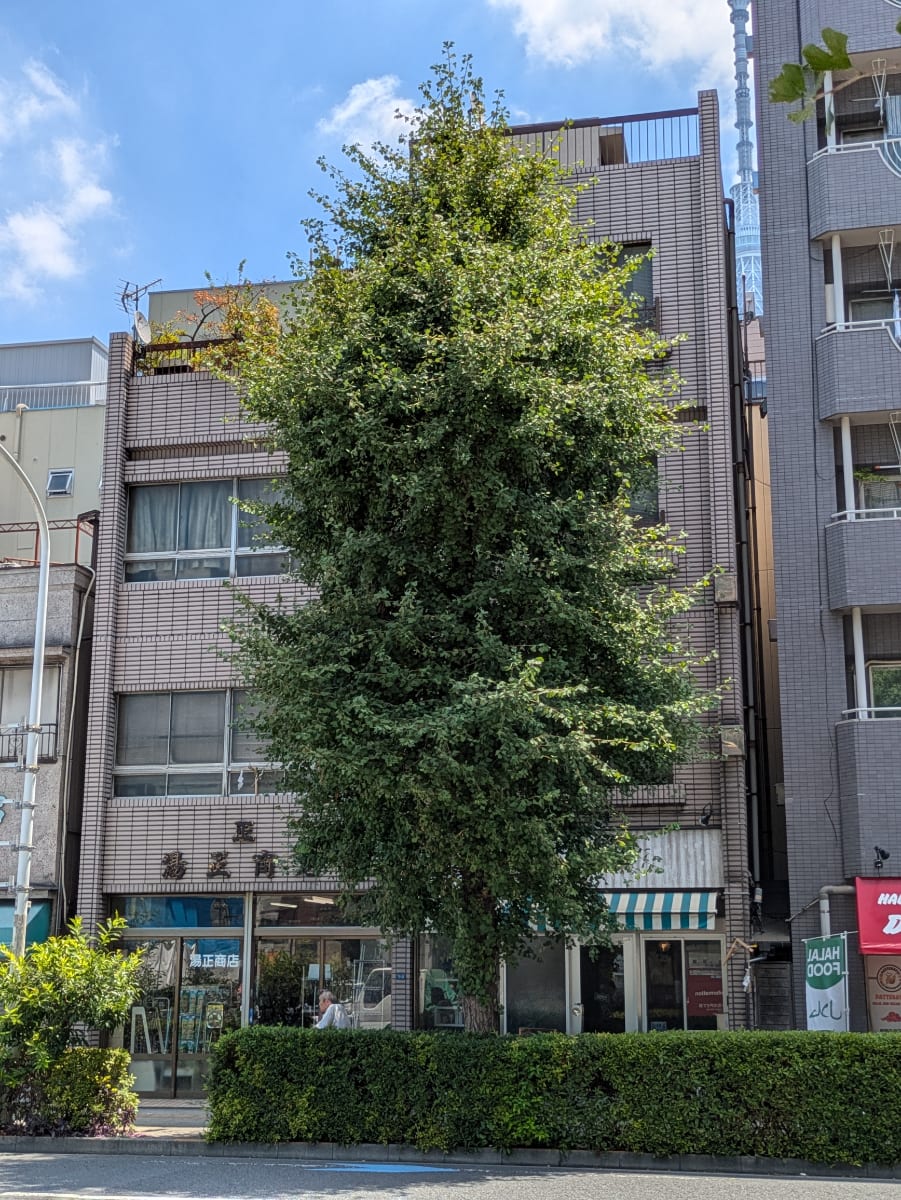 v20251006150705/fresh/building/J00100371648_5