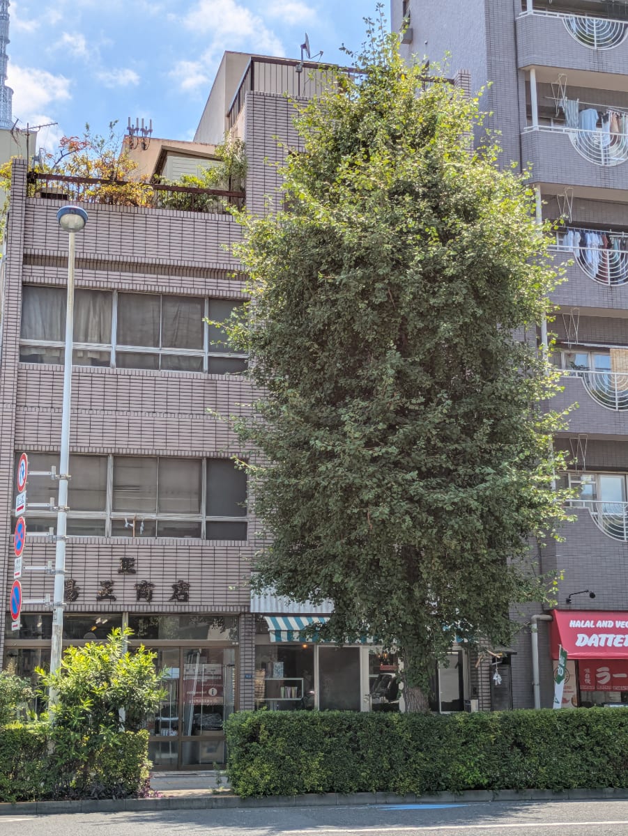 v20251006150705/fresh/building/J00100371648_6