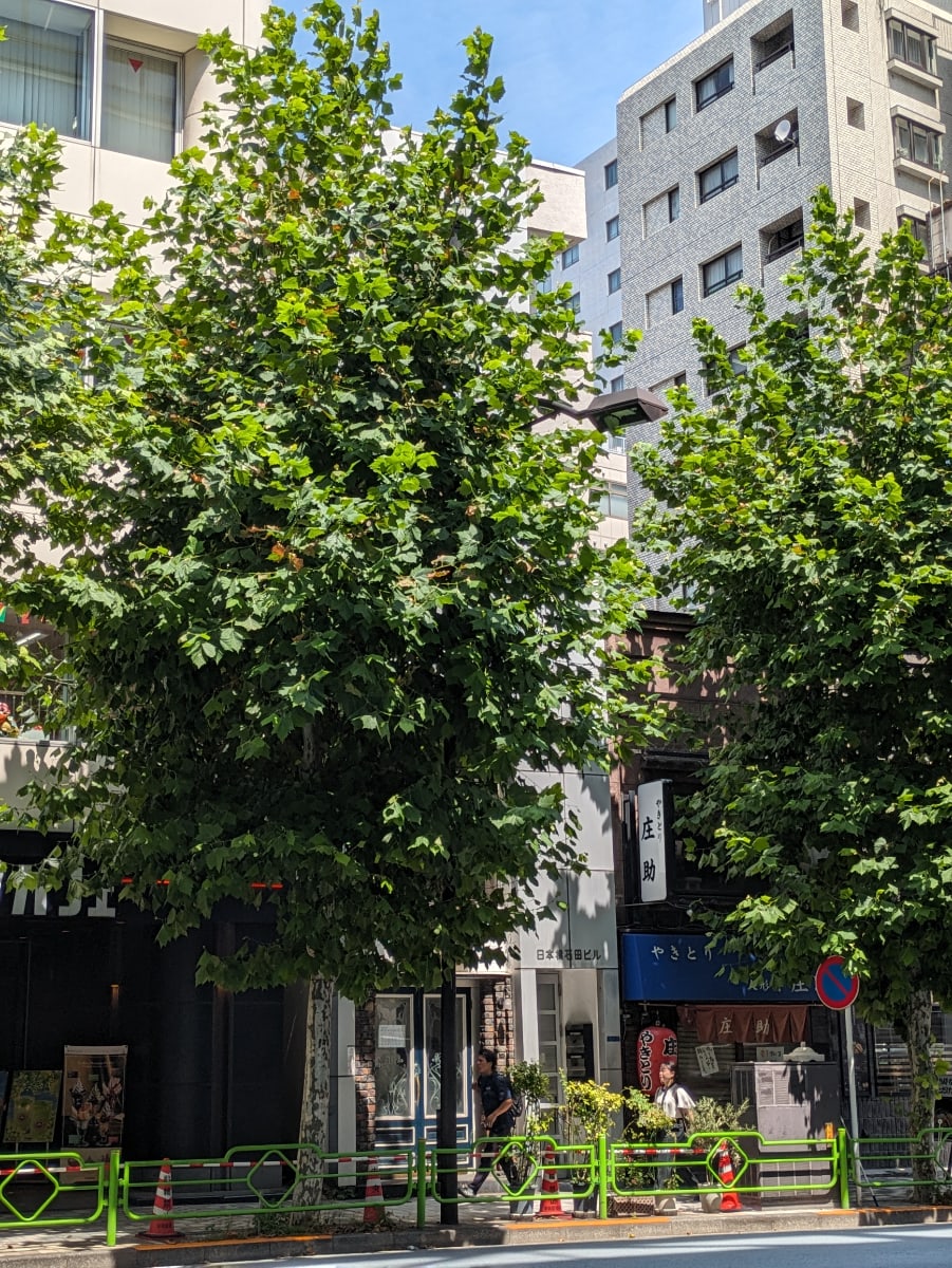 v20251008150721/fresh/building/J00100467064_5