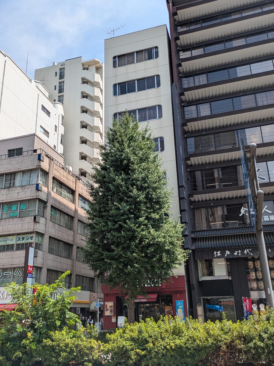 v20251009150657/fresh/building/J00100379355_7
