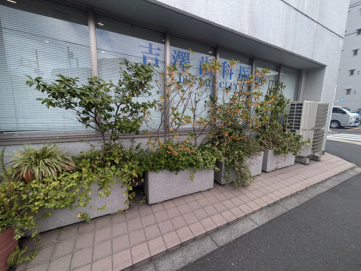 v20251123150654/fresh/building/J00100366644_7