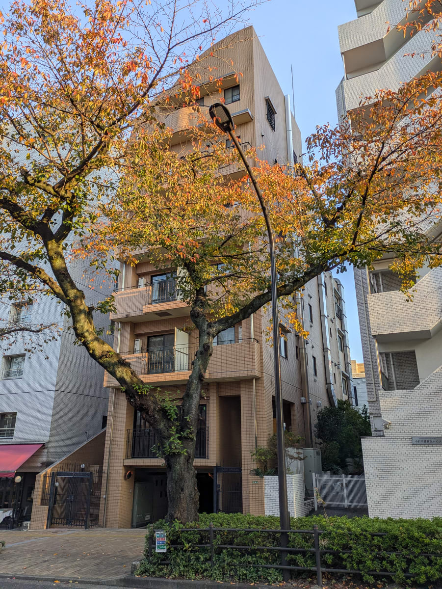 v20251224150804/fresh/building/J00100611776_14
