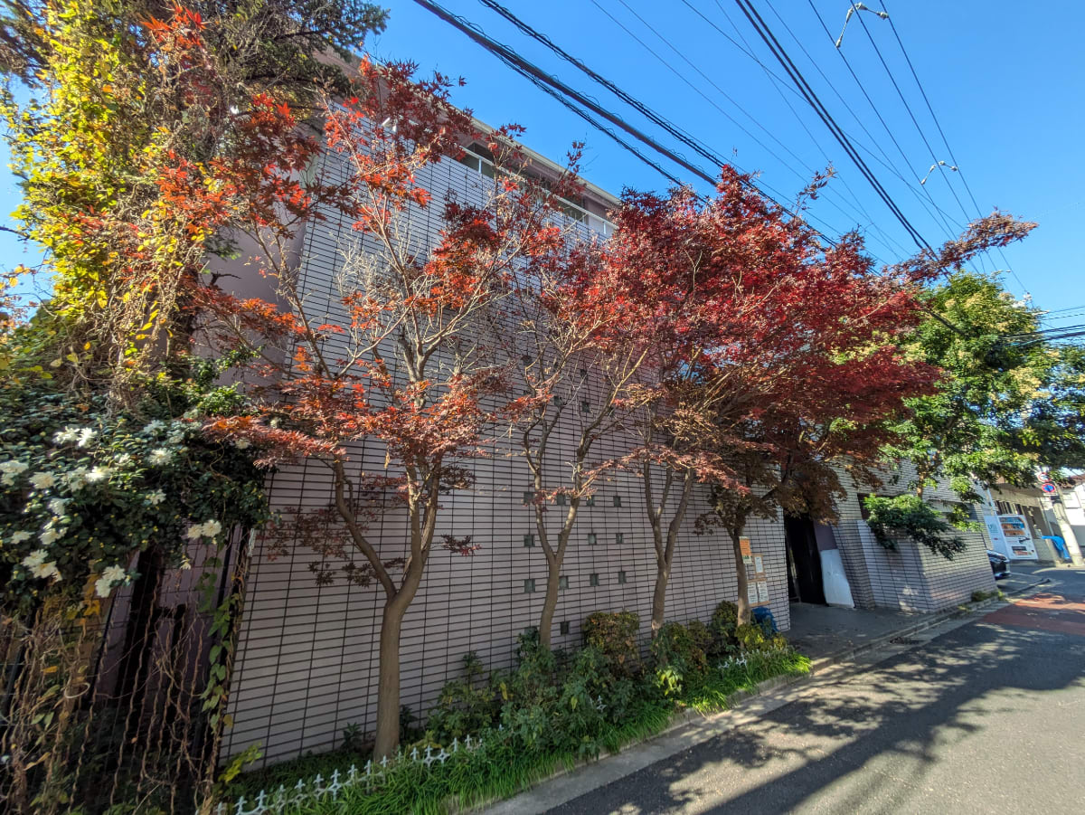 v20260106150805/fresh/building/J00100409272_8