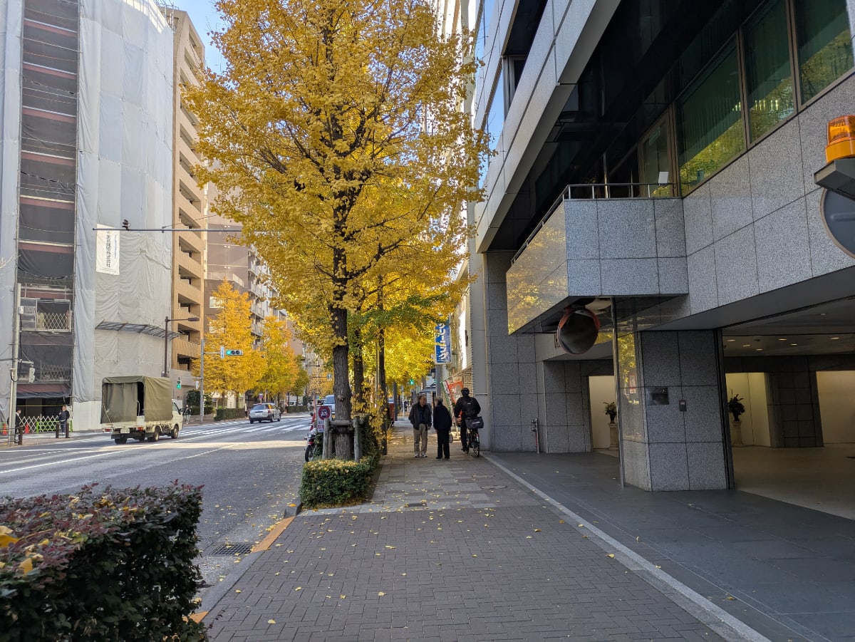 v20260108150801/fresh/building/J00100404367_13