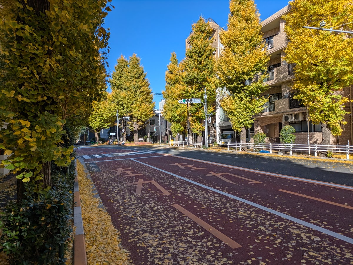 v20260119151022/fresh/building/J00100608591_2
