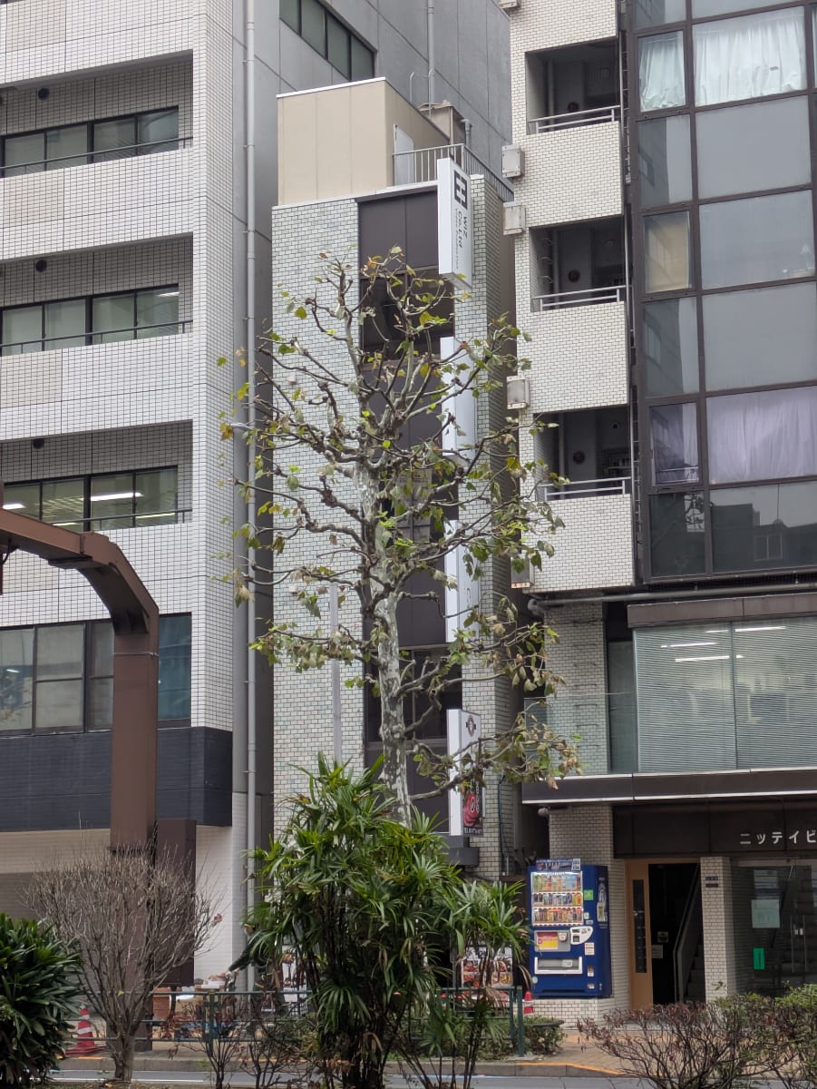 v20260124150645/fresh/building/J00100608580_7
