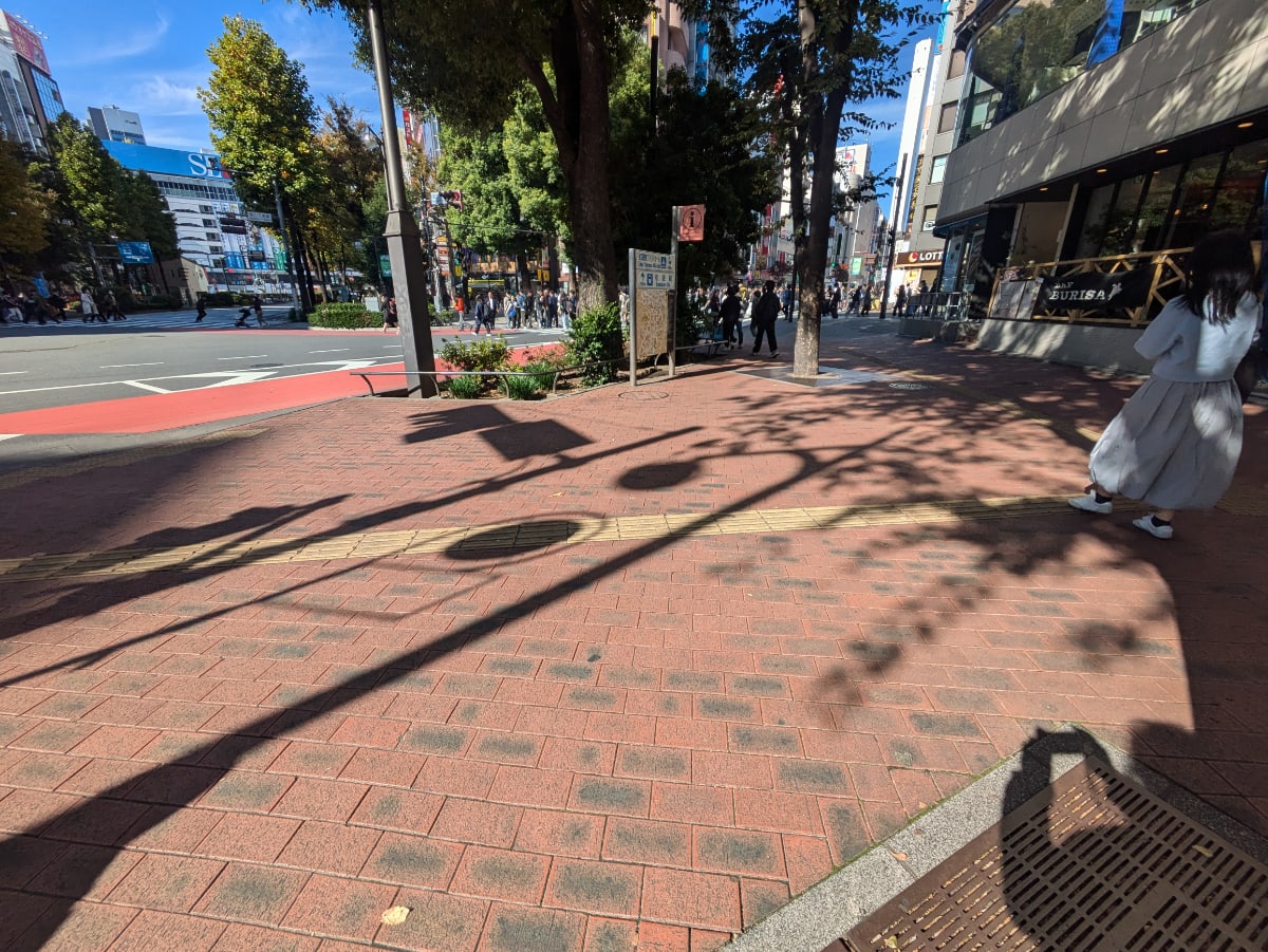 v20260125150707/fresh/building/J00100388876_2
