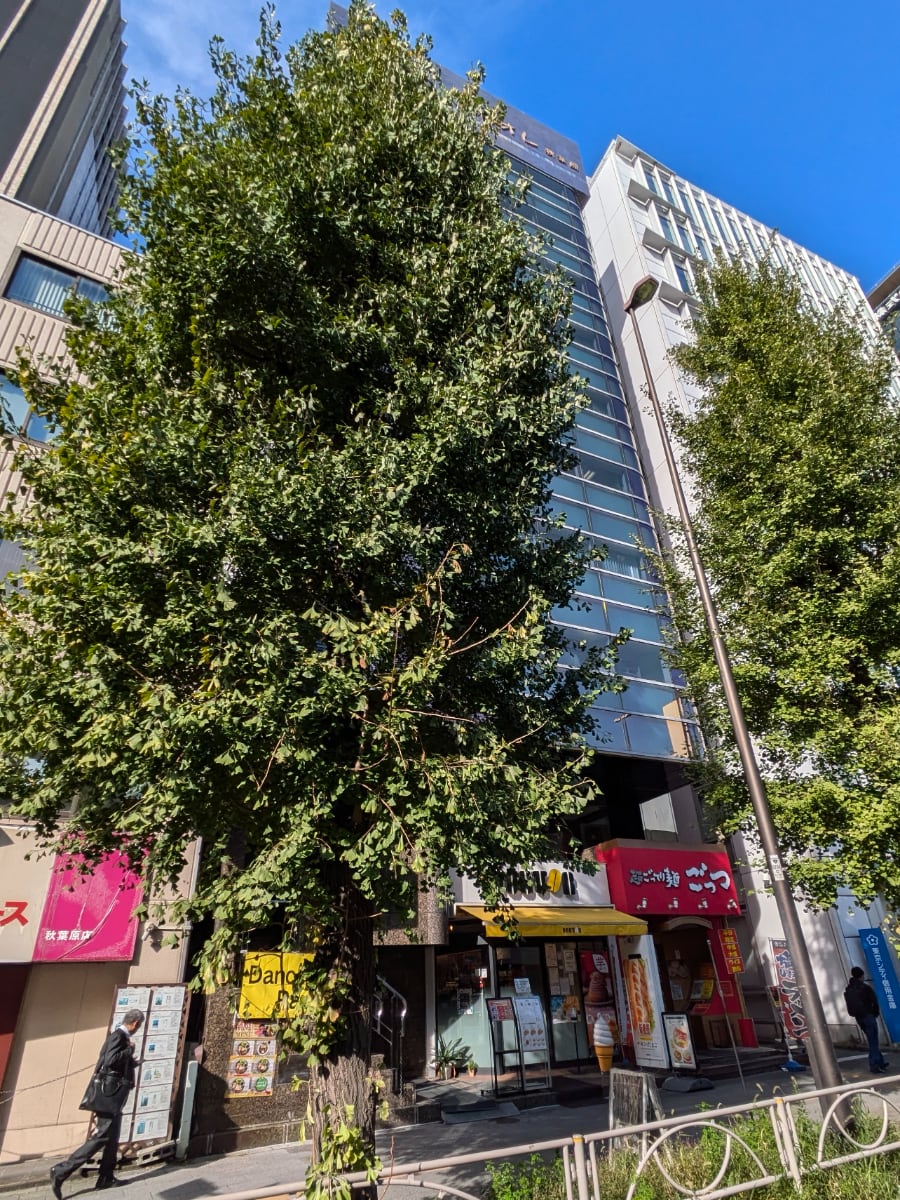 v20260131150803/fresh/building/J00100383072_9
