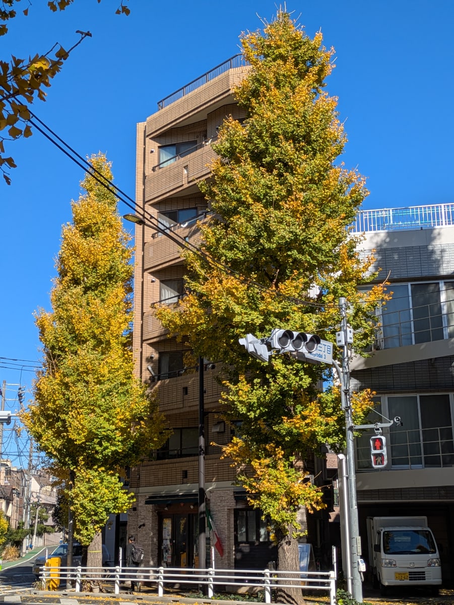 v20260131150803/fresh/building/J00100415921_5