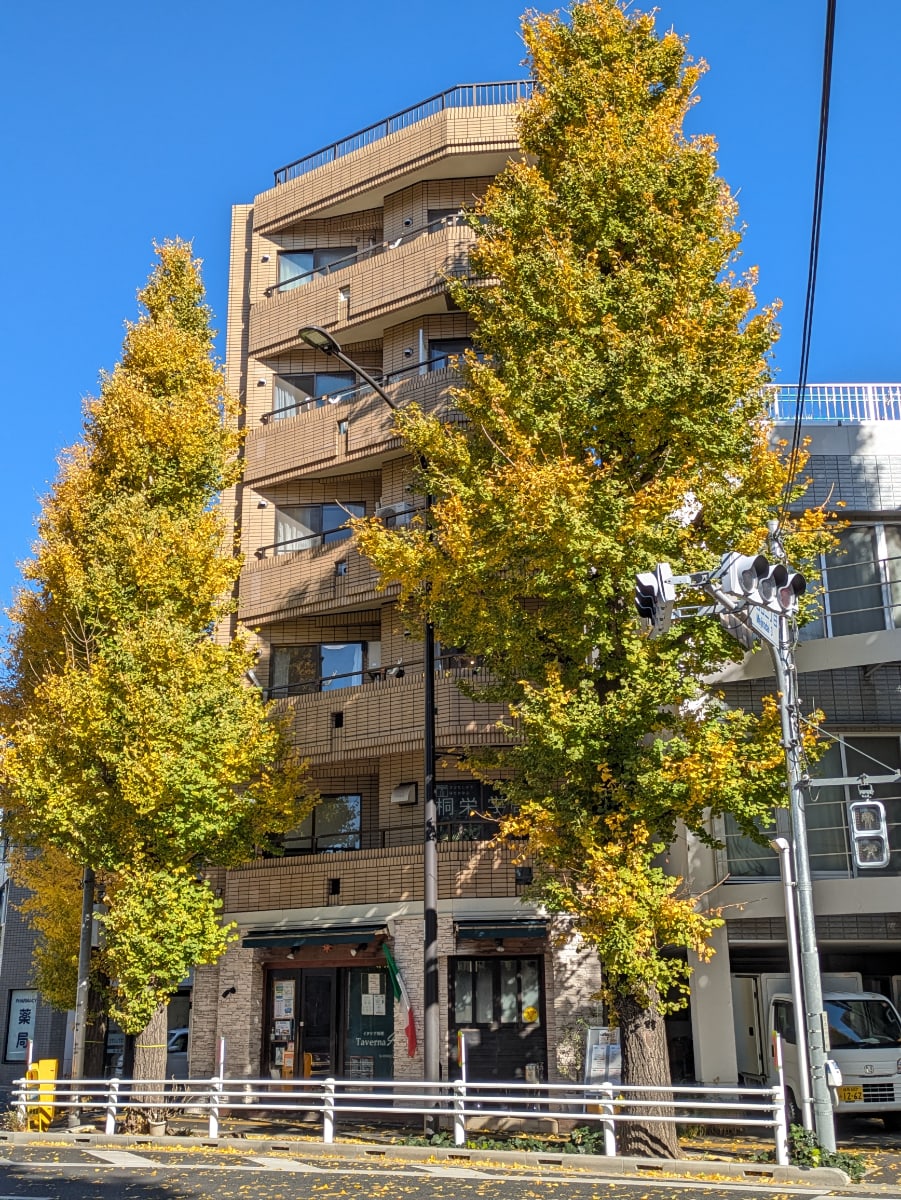 v20260131150803/fresh/building/J00100415921_6