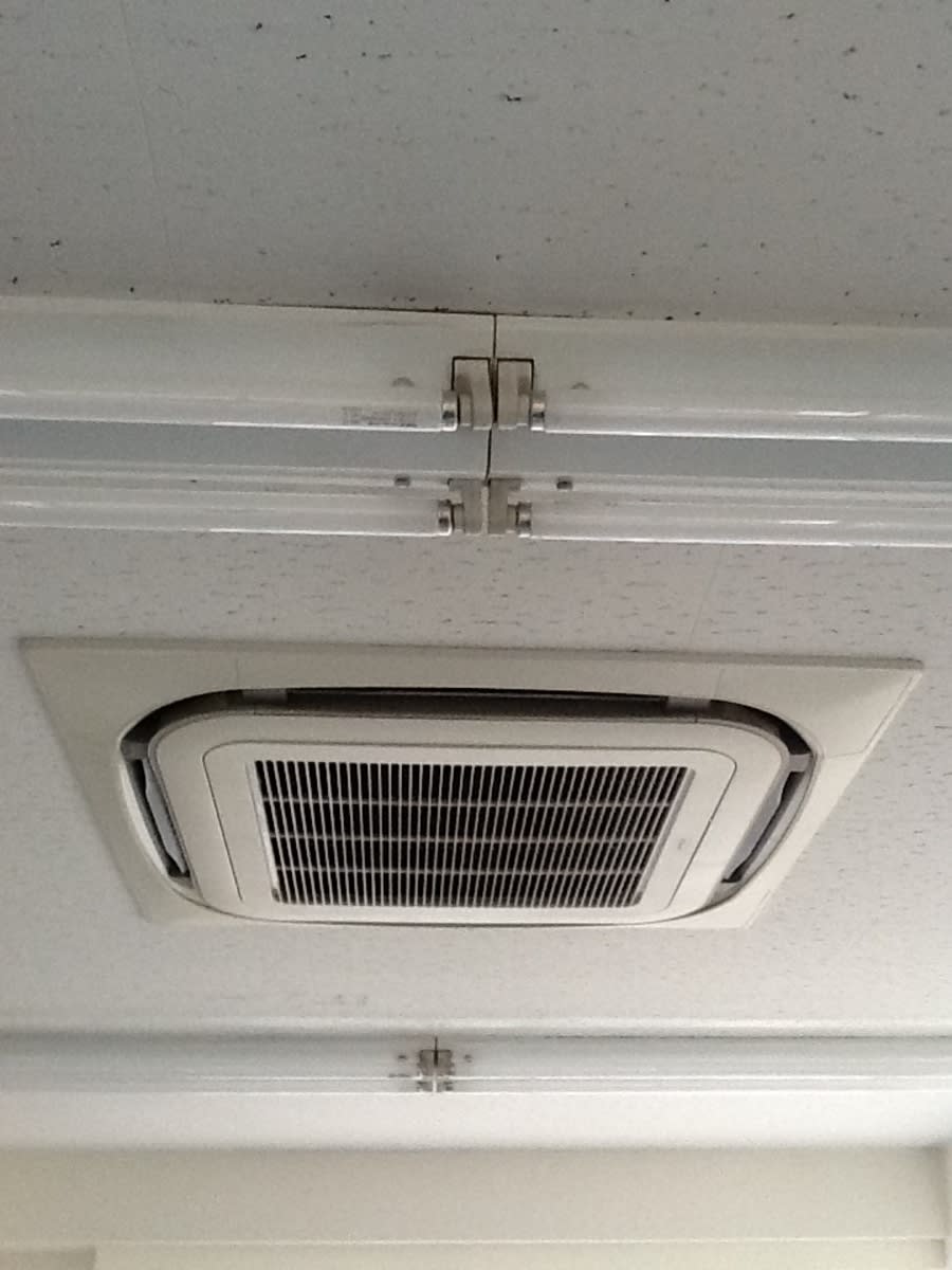 v20260209152608/fresh/room/J00102038799_4