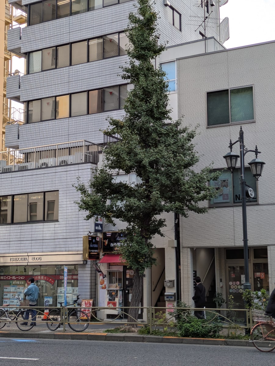 v20260212150809/fresh/building/J00100467848_6