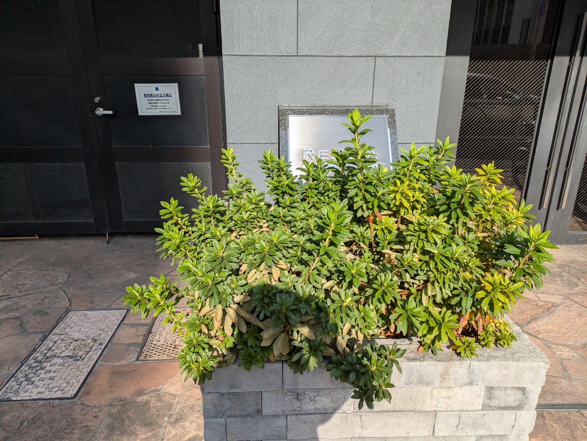 v20260305150756/fresh/building/J00100405287_8