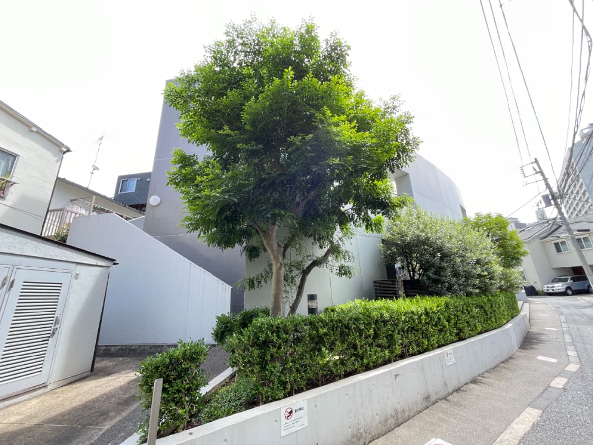 v20260310150810/fresh/building/J00100383279_15