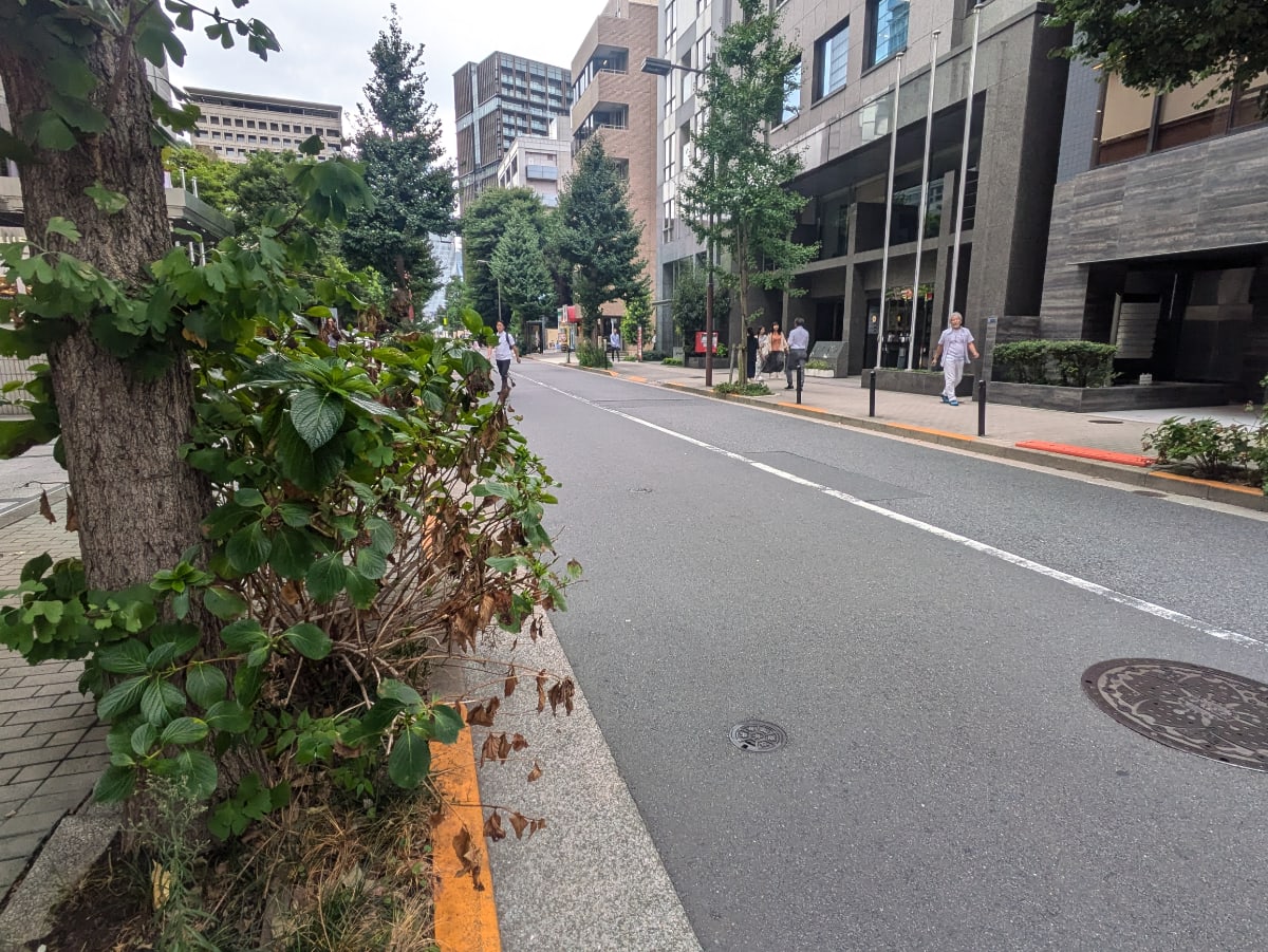 v20260310150810/fresh/building/J00100384299_2