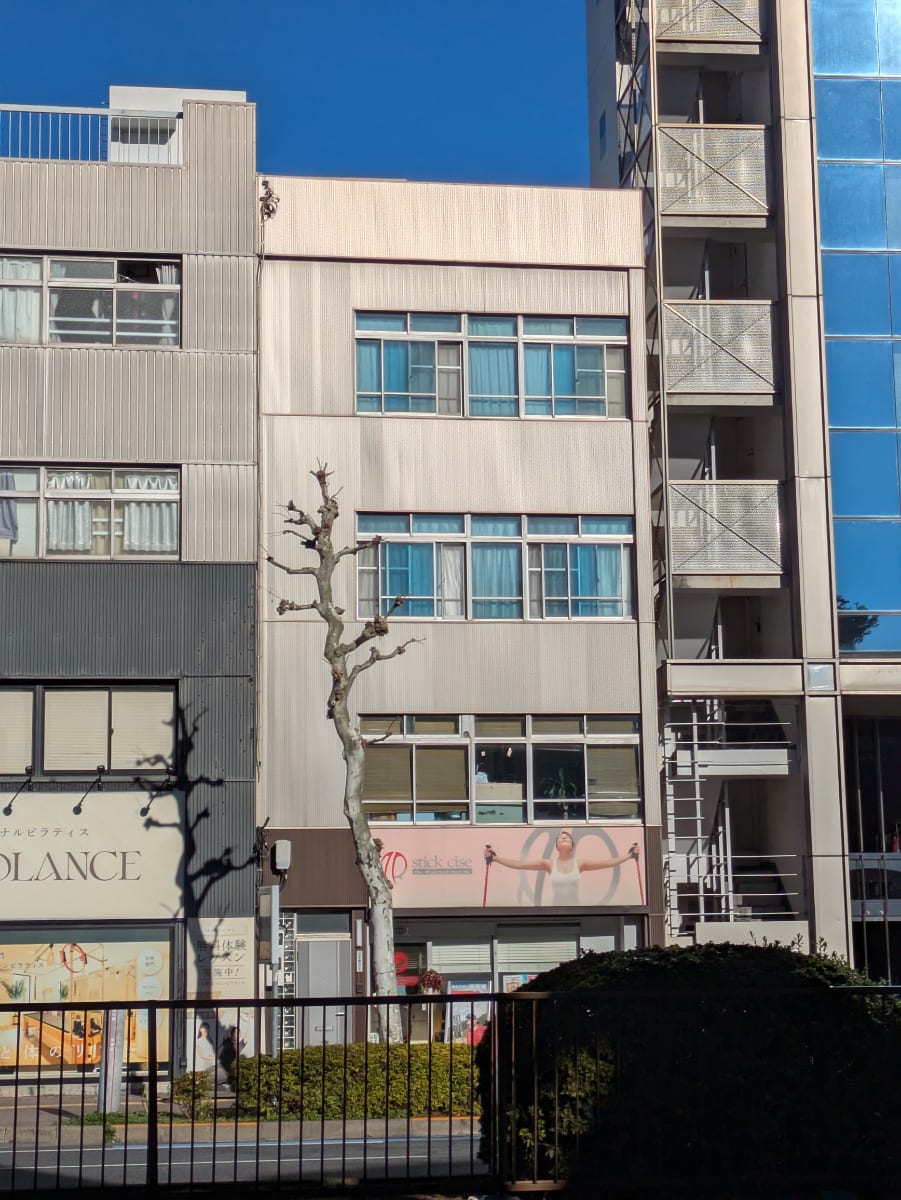 v20260313150743/fresh/building/J00100421611_14