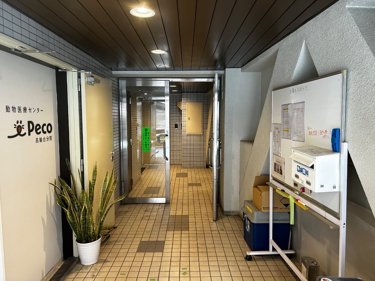 v20260326151010/fresh/building/J00100366663_63