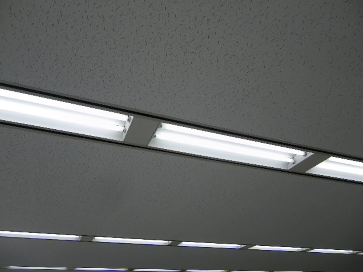 v20260326151010/fresh/building/J00100389450_15