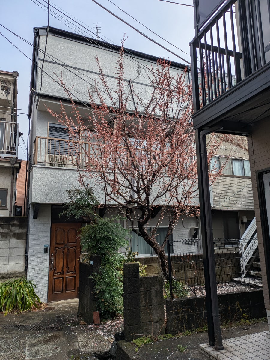 v20260331151546/fresh/building/J00100610184_5