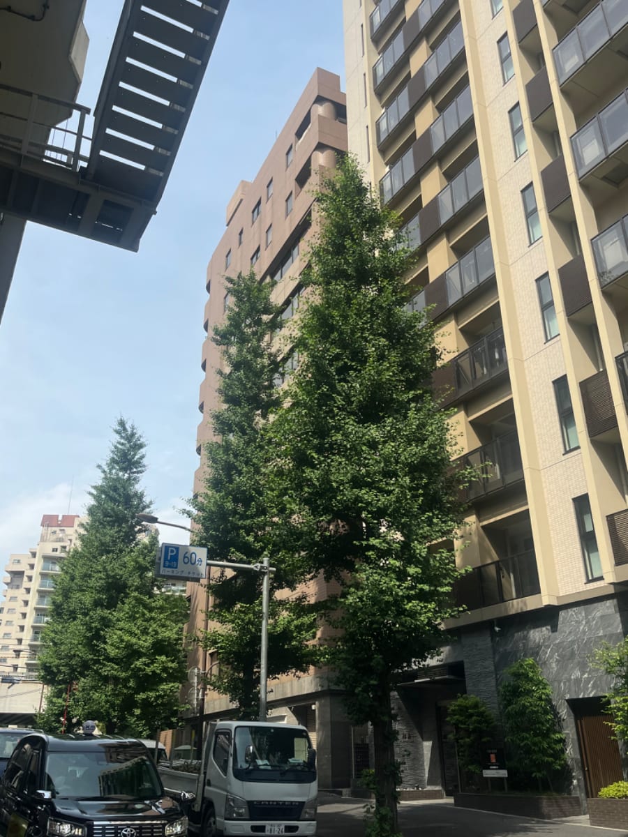 v20260411150636/fresh/building/J00100382345_17