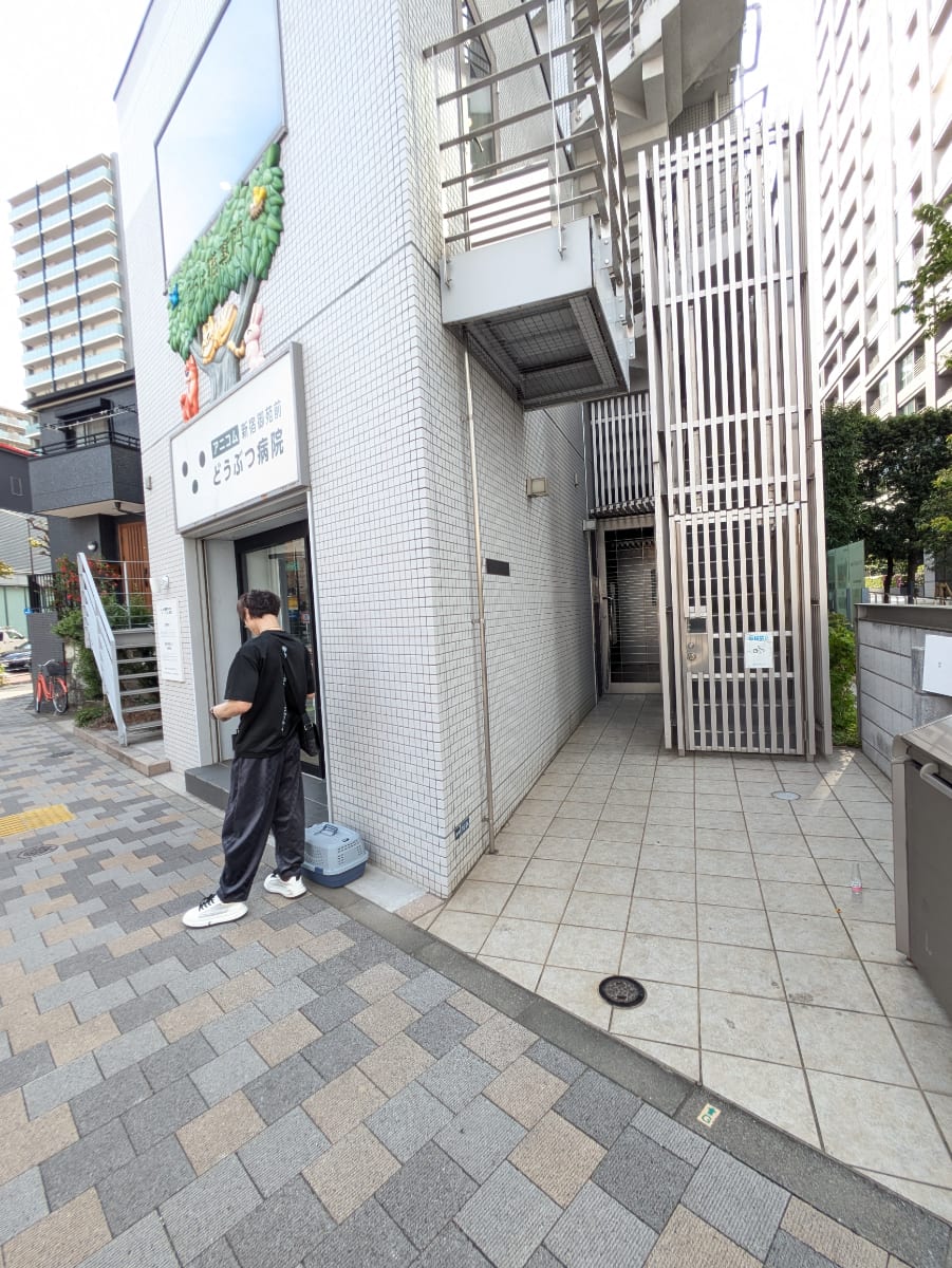 v20260426150634/fresh/building/J00100419043_10