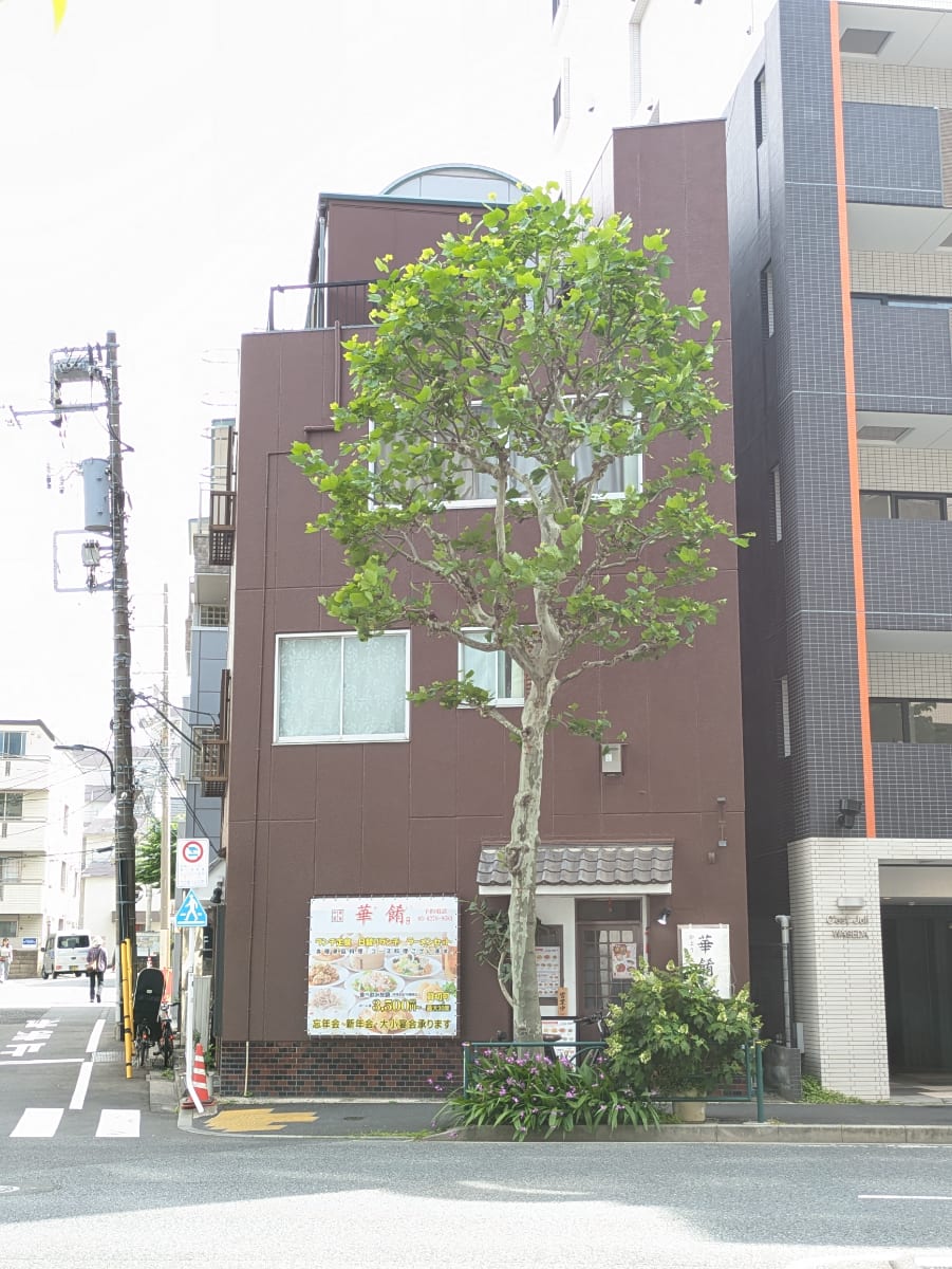 v20260513150900/fresh/building/J00100635604_6