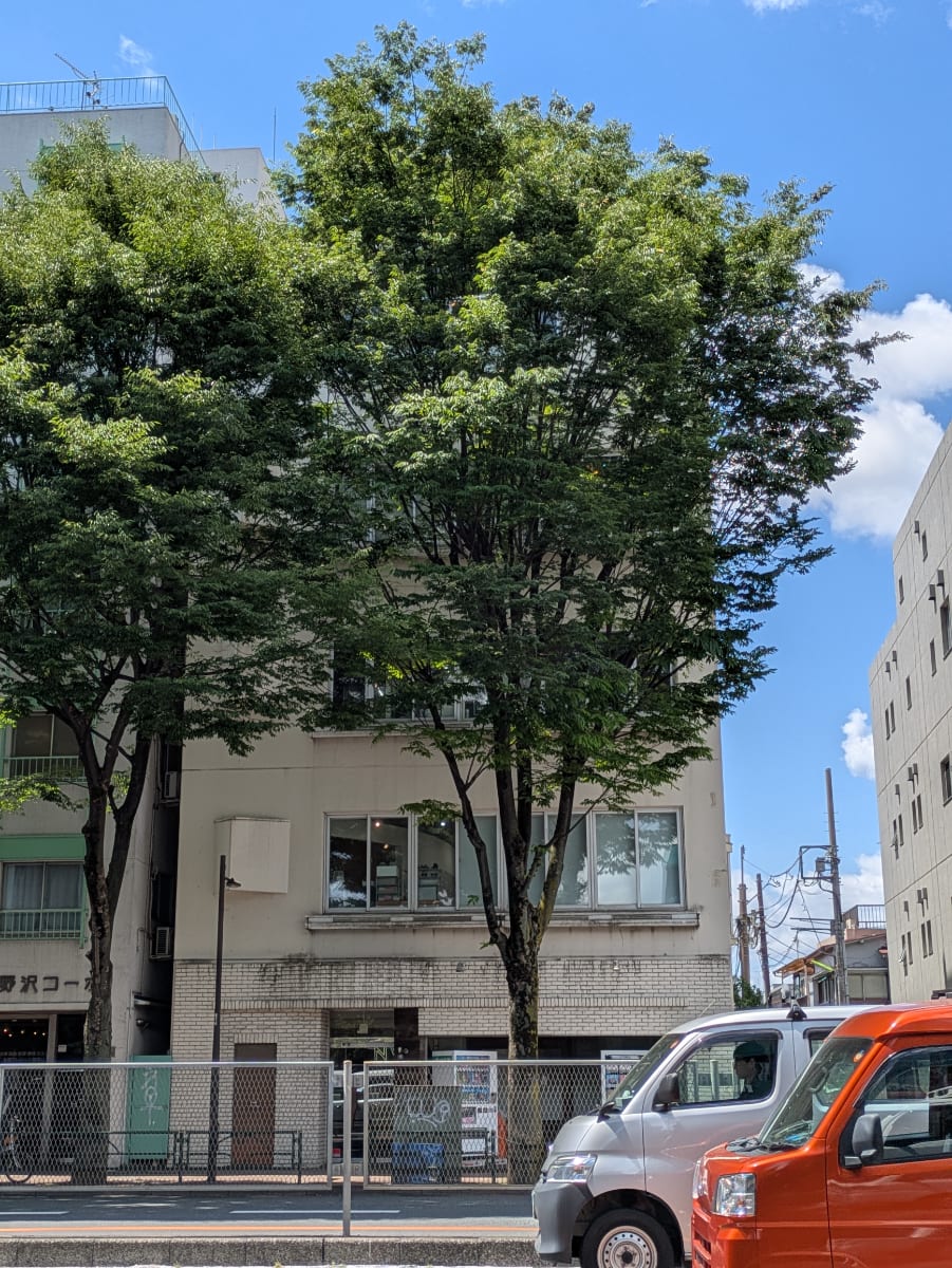 v20260515150758/fresh/building/J00100407623_6