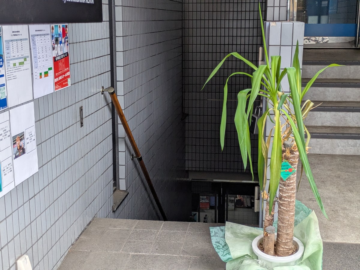 v20260516150634/fresh/building/J00100386250_9