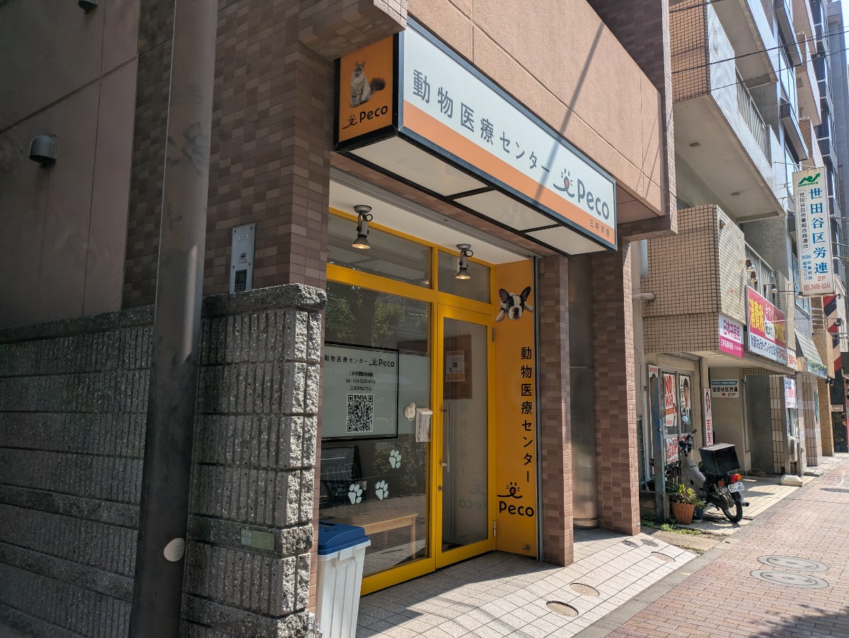 v20260613150736/fresh/building/J00100405721_17