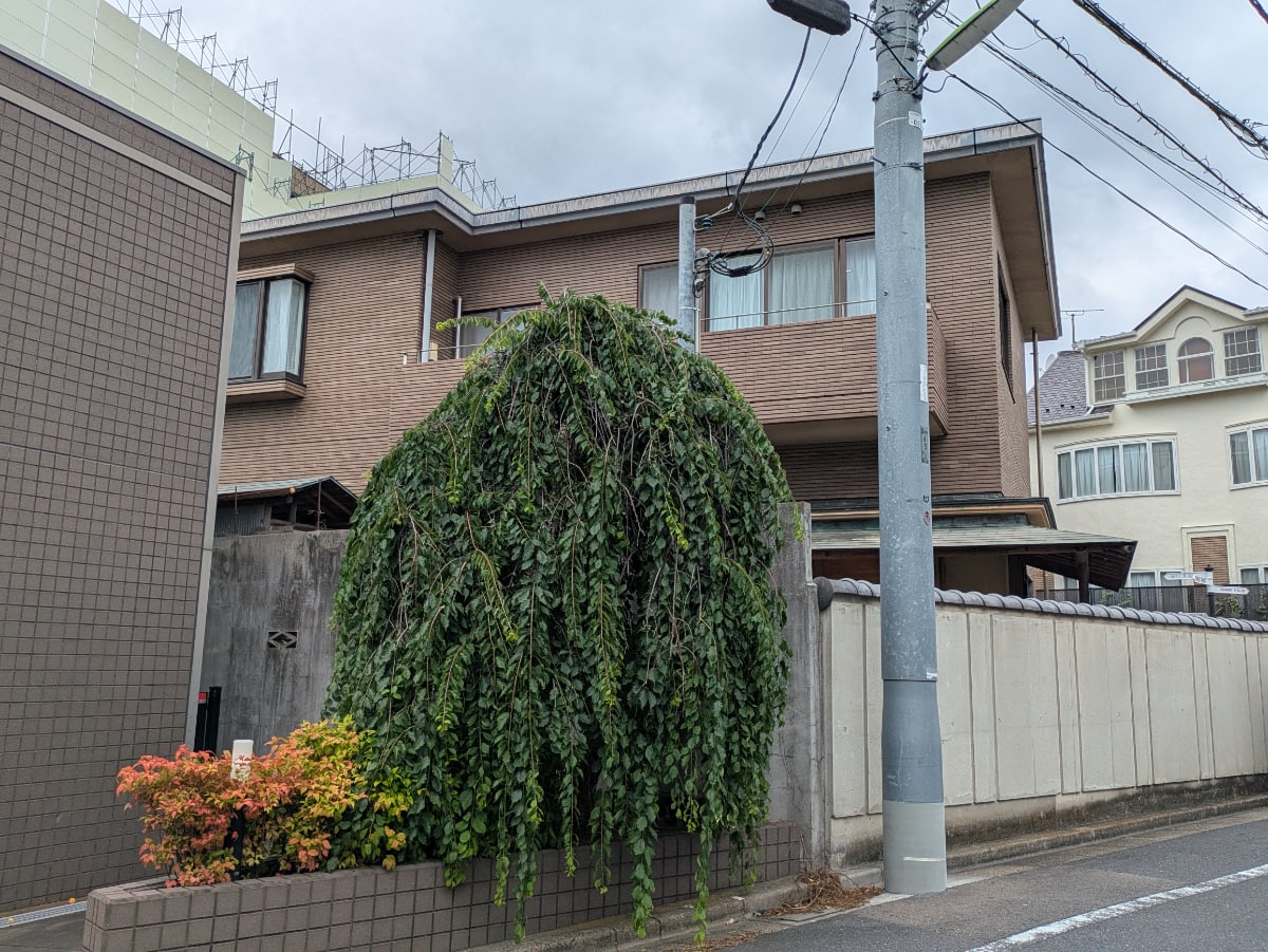 v20260624150904/fresh/building/J00100633090_8